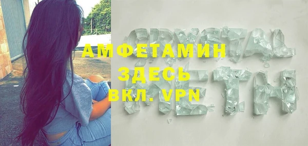 молекула духа Бородино