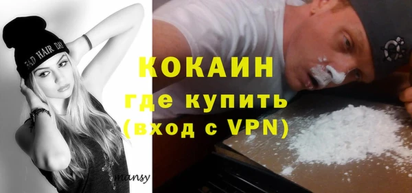 молекула духа Бородино