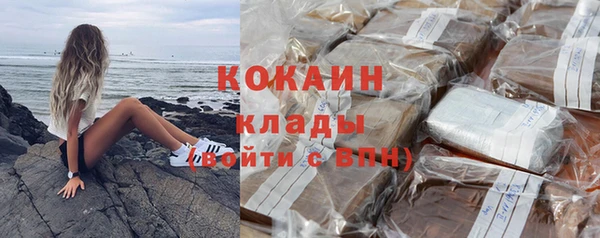 молекула духа Бородино
